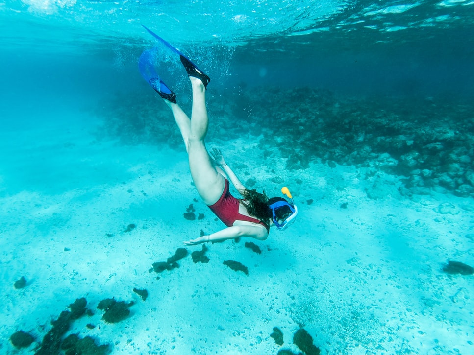 swimmer snorkeling under water