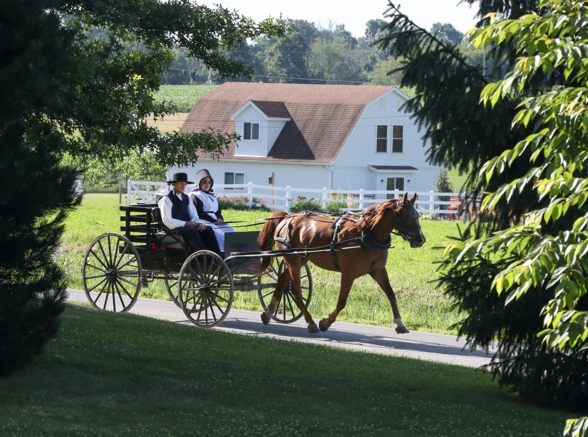 amish couple in buggy