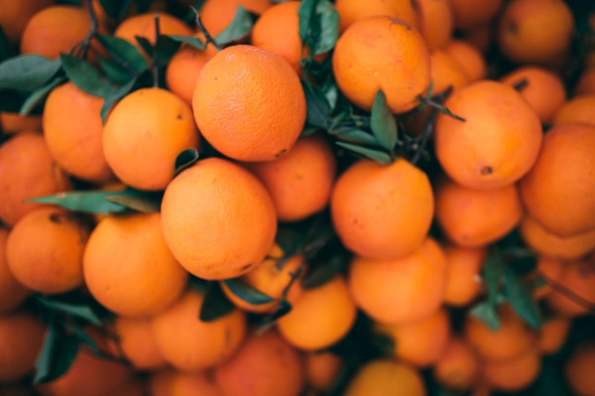 pile of oranges